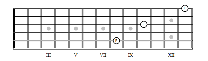 Fretboard Orientation 