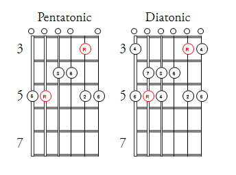 C shape Scales